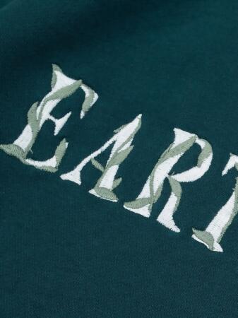 Ivy Earthling Pullover alternate image