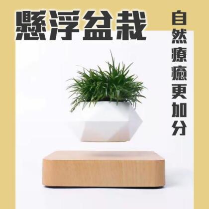 神奇！懸空的植物擺飾【懸浮盆栽】磁浮 飛起來 植栽 布置 花盆 觀葉 造景 辦公室 送禮 交換禮物 入厝禮 綠色 多肉 - 