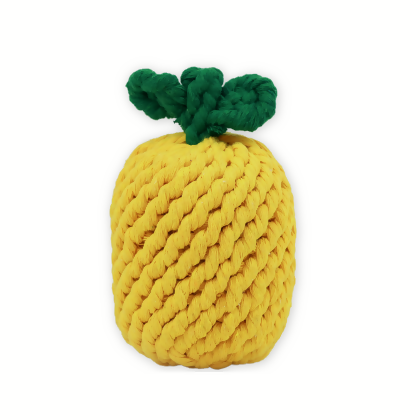 Knotty Large Pineapple Rope Toy 