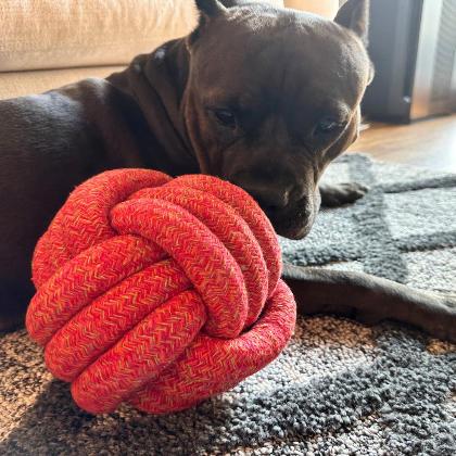 The Sunshine Red Collection of Jumbo Rope Ball Toy alternate image