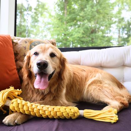 Jumbo Yellow Candy Rope Toy alternate image