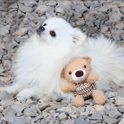 Squeaky Rope Buddies alternate image
