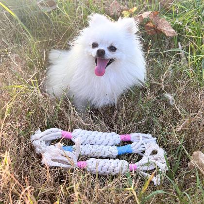 Rainbow Candy Macrame Rope Pet Toy alternate image