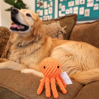 Ollie the Octopus Rope Toy alternate image
