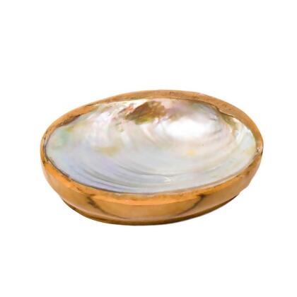 TEAK SHELL SOAP DISH - REGULAR SIZE 