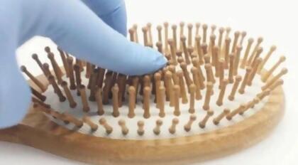 Natural Wooden Detangling Hair Brush alternate image