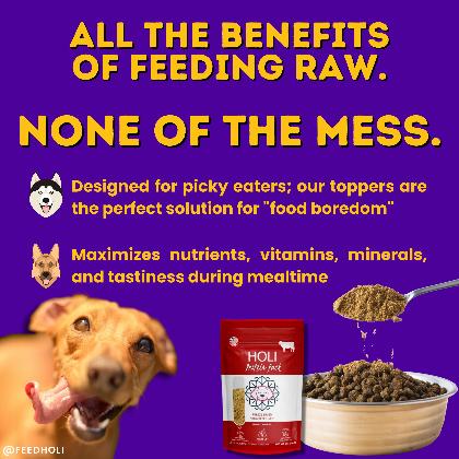 Beef Liver Dog Food Topper alternate image