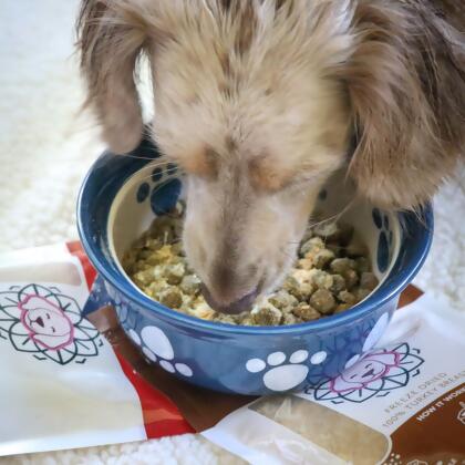 Beef Liver Dog Food Topper alternate image