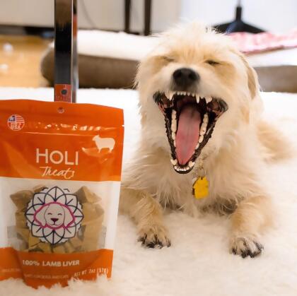 Lamb Liver Dog Treats alternate image
