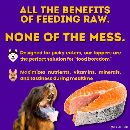 Wild Caught Salmon Dog Food Topper alternate image