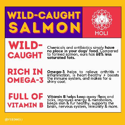 Wild Caught Salmon Dog Food Topper alternate image