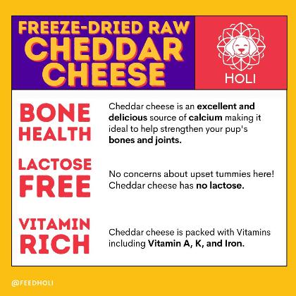 Cheddar Cheese Dog Treats alternate image