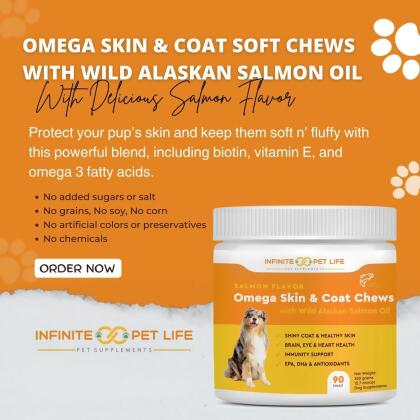 Salmon Flavor Omega Skin & Coat soft chews with Wild Alaskan Salmon Oil alternate image