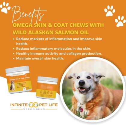 Salmon Flavor Omega Skin & Coat soft chews with Wild Alaskan Salmon Oil alternate image