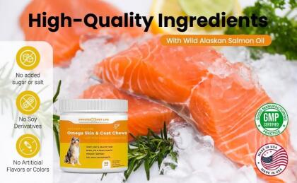 Salmon Flavor Omega Skin & Coat soft chews with Wild Alaskan Salmon Oil alternate image