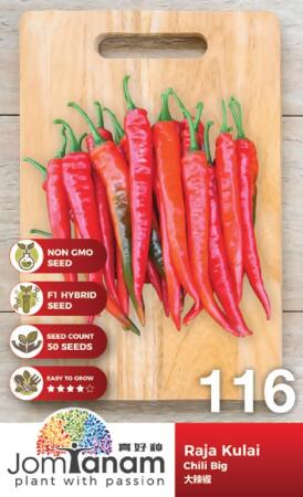 Chili Big Seed 