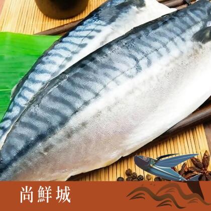 【尚鮮城】正挪威鮮美大鯖魚片(買多優惠) 