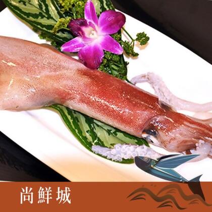 【尚鮮城】台灣東北海釣鮮凍透抽(450g) 
