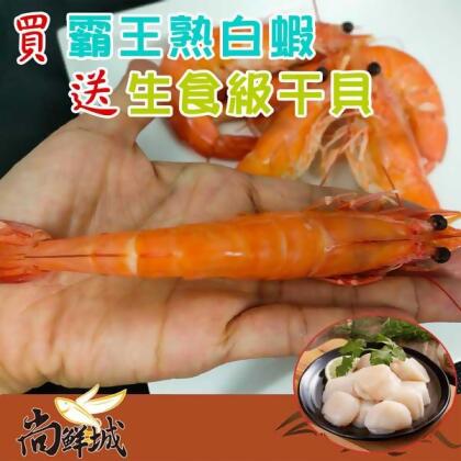 【尚鮮城】2/3頂級霸王熟白蝦送頂級北海道生食干貝(免運) 