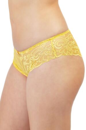 Venus Lace Hipster alternate image