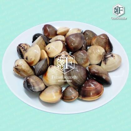 Clam Kepah, Littleneck, Sa Pai (1 kg) 