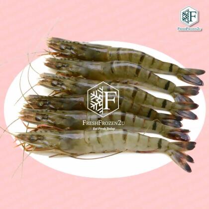 Tiger Prawn Cultured 16/20 (700g) 老虎虾 