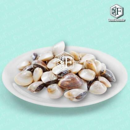 White Clam (1kg) Kepah 沙白 