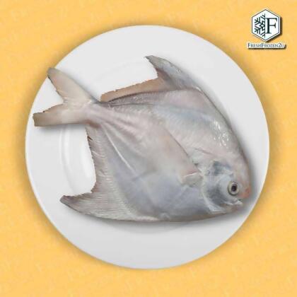 Sabah Chinese Pomfret Fish (600-700g) 斗鲳 Bawal Tambak 