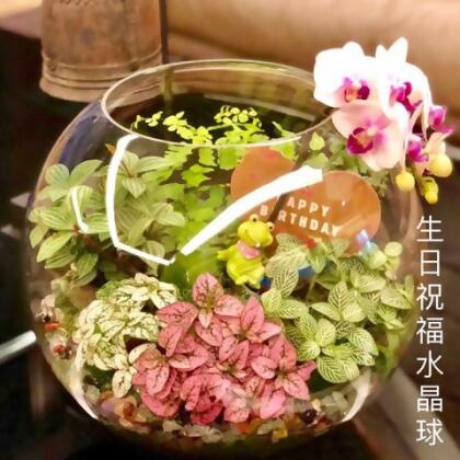 星球禮品 - 聖誕節 