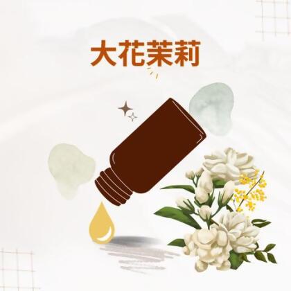 大花茉莉 - 10ml 