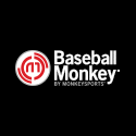 Baseball Monkey