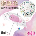 雨傘專家 傘電俠 