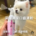 CHICCLUB 條紋共和國 