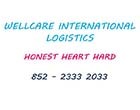 WELLCARE WELLCARE