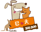 巴夫 BIG DOG巴夫生食肉餅【全館8折】 貓用＋犬用共13種口味任您挑選！