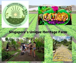 Bollywood Farms (Walk In)