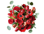 Flowers Flowers