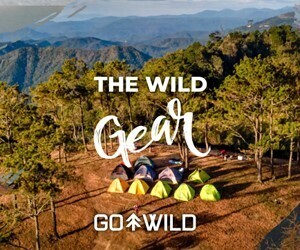 Go Wild Mall