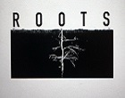 Roots 複合式的店家,白天是美髮沙龍,晚上是餐酒館,兩種不同的行業卻有一股和諧的氛圍。