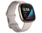Fitness Trackers