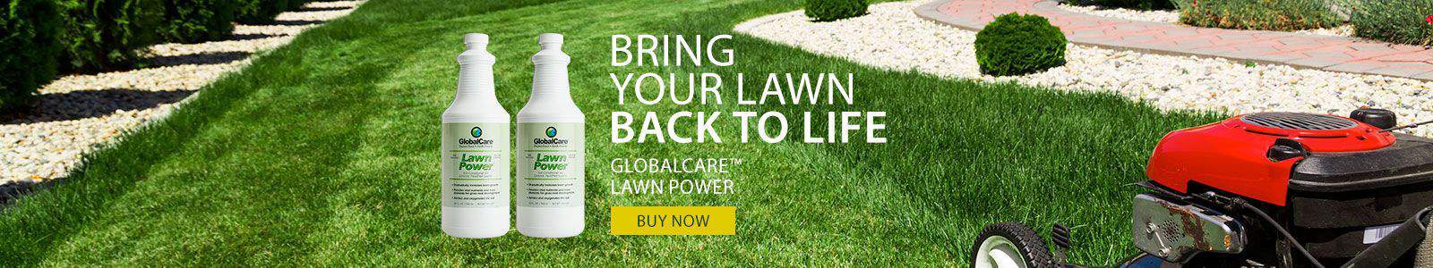 Lawn Power Lawn Power