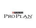 Purina Purina