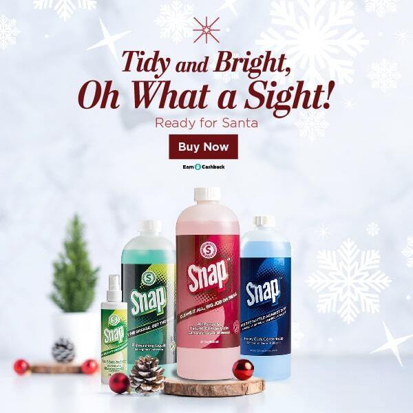 Tidy and Bright, Oh What a Sight! Ready for Santa Buy Now