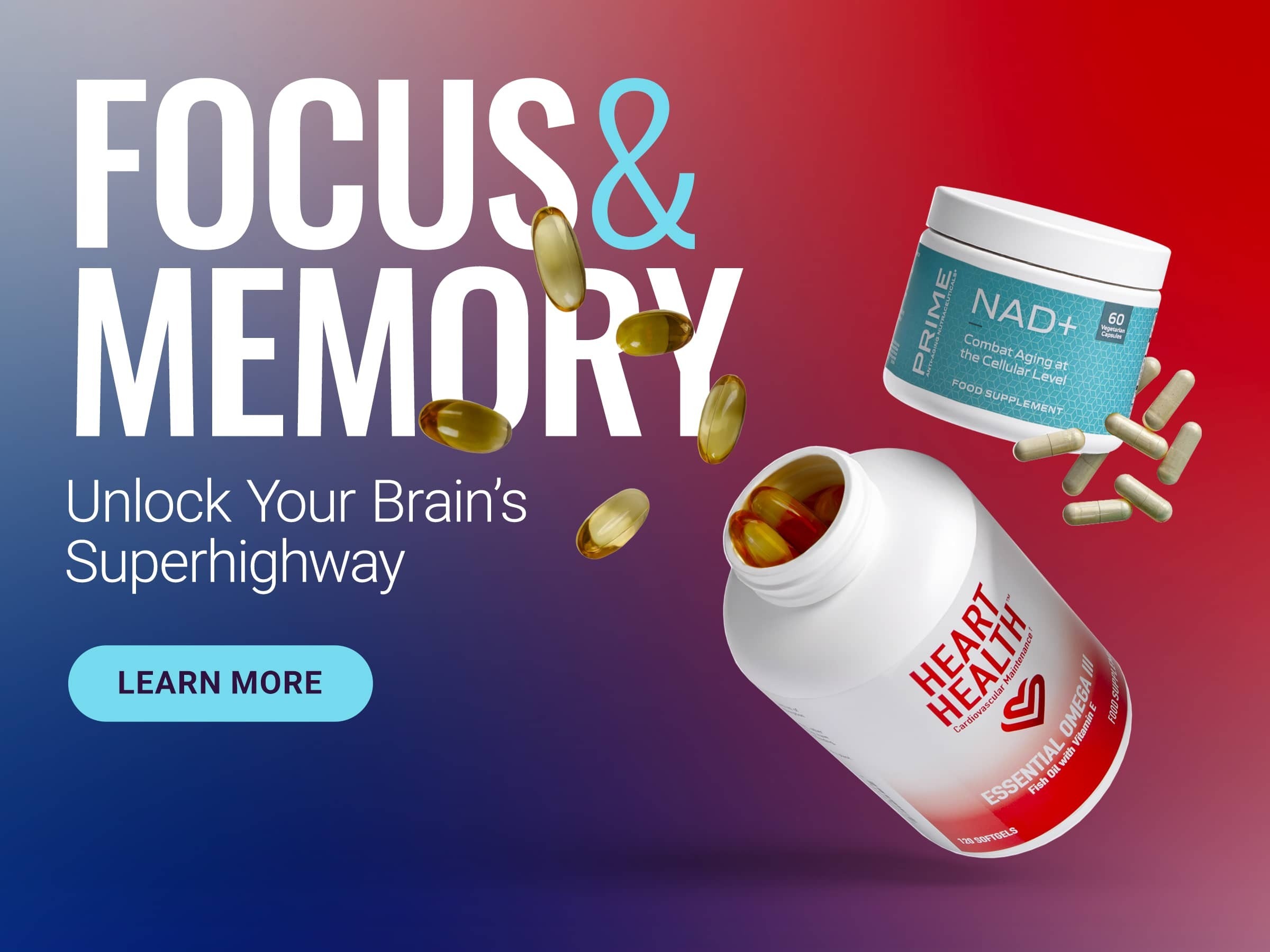 Focus & Memory