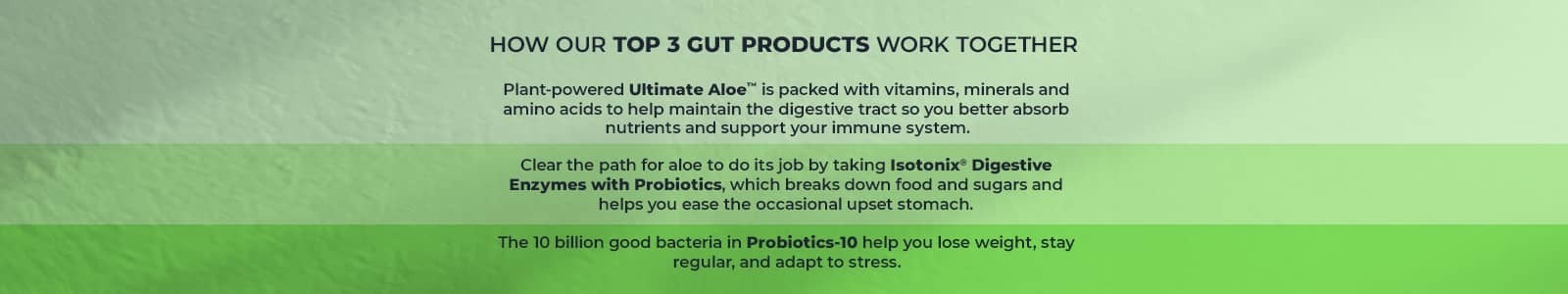 How our top 3 gut products work together