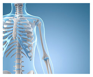 Bone Health Skeleton