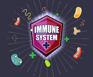 Healthy Immune System
