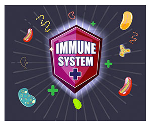 Healthy Immune System 