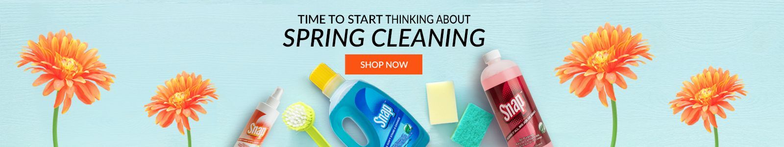 Spring Cleaning Spring Cleaning
