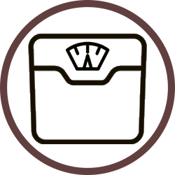 scale icon